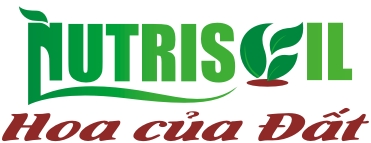 logo đối tác