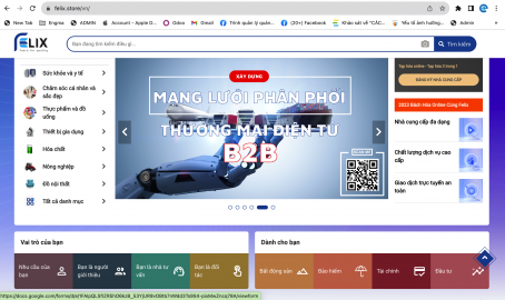 ERP - TMĐT B2B2C - FELIX STORE